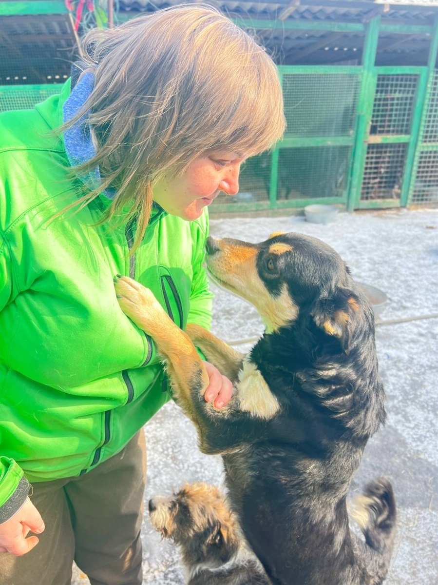Світлана каже, що тварини кращі за людей