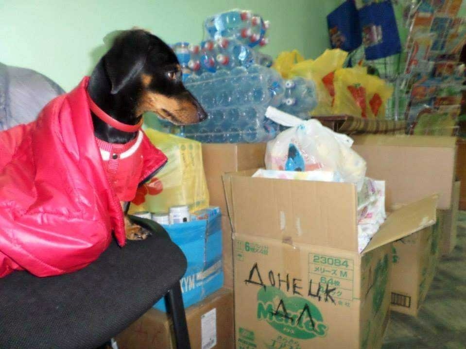 Бімба в гуманітарному штабі в Добропіллі