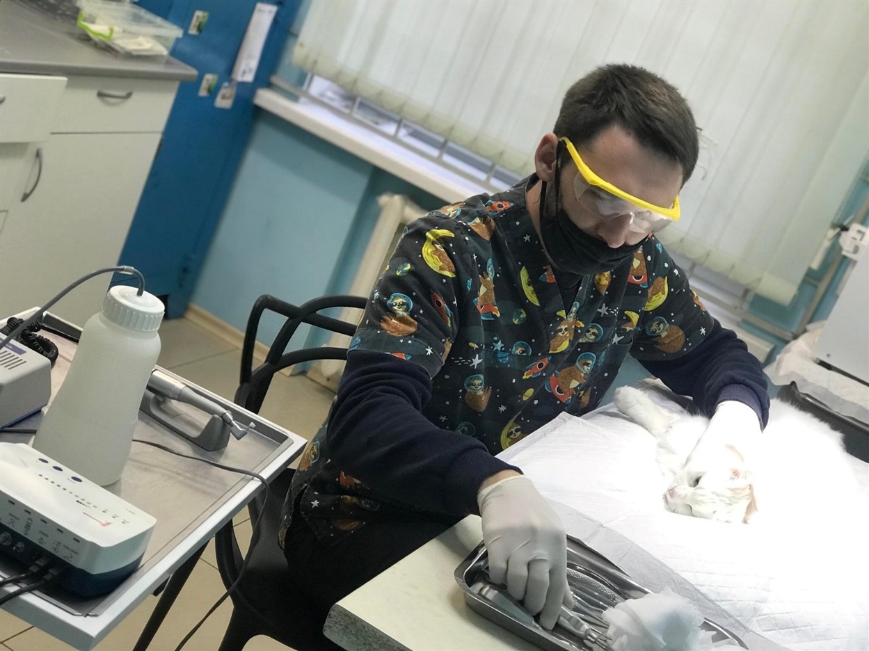 Попри те, що довелося покинути Донеччину, Олександр консультує онлайн притулки для тварин звідти