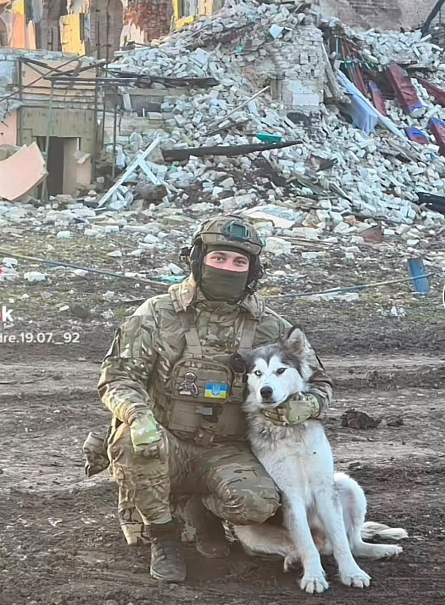 Після деокупації Стельмахівки