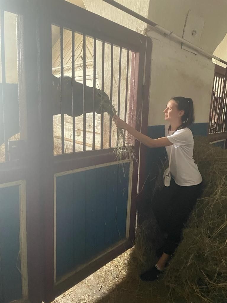 Софія на Деркульському кінному заводі