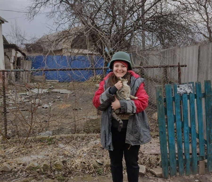 Котик, якого вдалося евакуювати з Донеччини