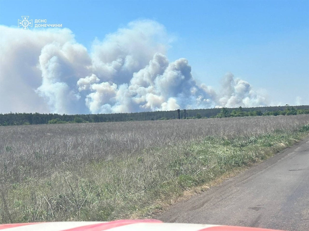 Пожежі у Лиманських лісах
