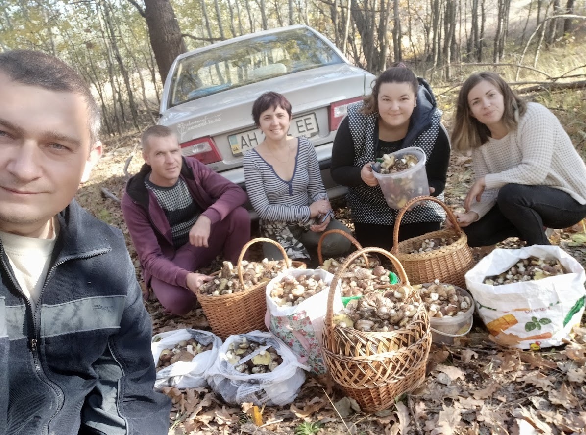2019 год порадовал сезоном маслят