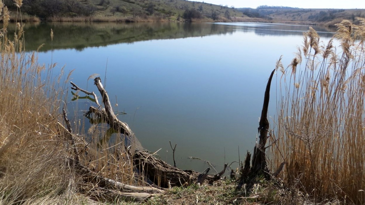 Рибальські місця на водосховищі