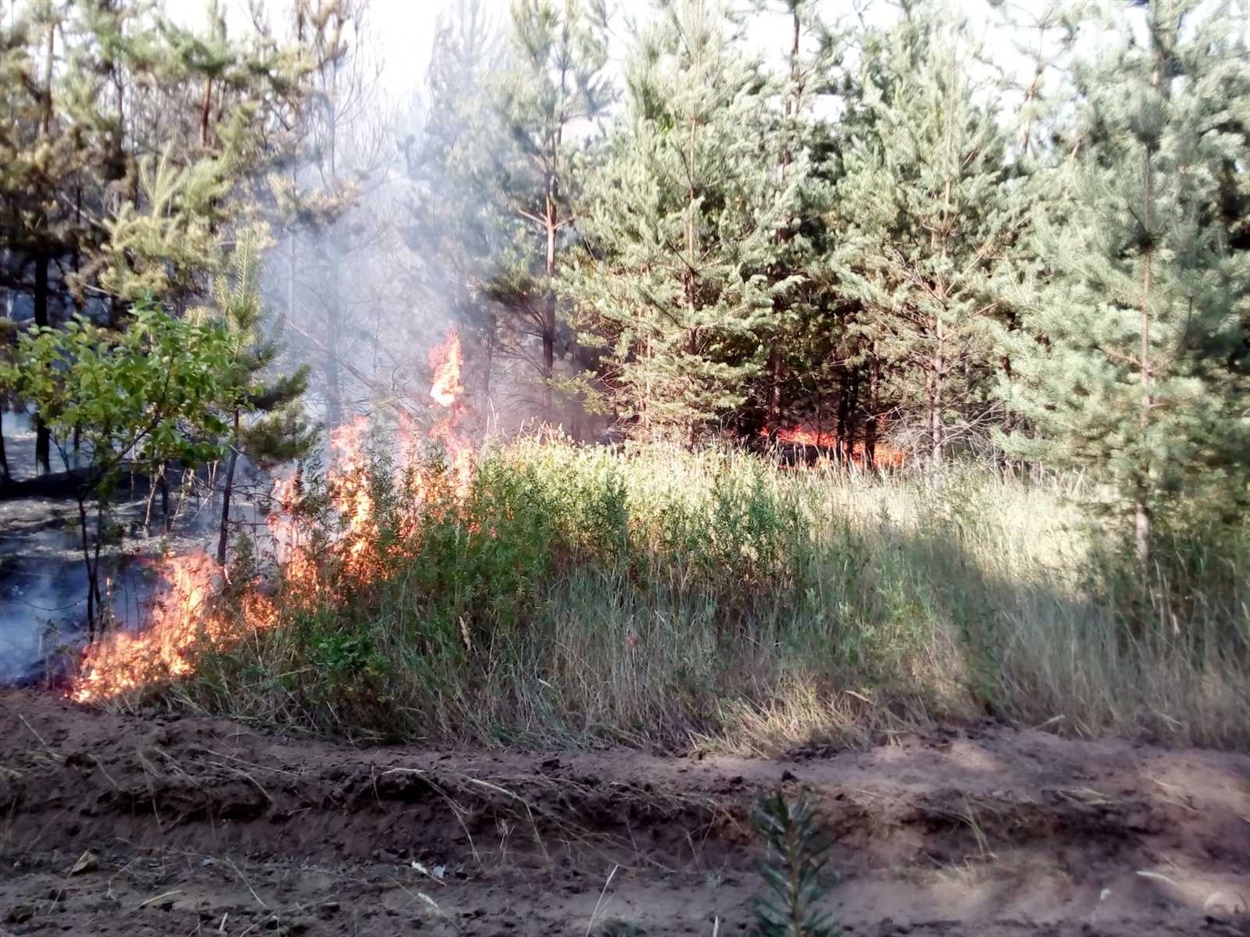 Пожежа в Новоайдарському районі Луганської області