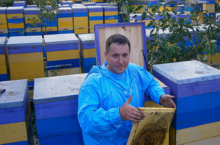 Луганский пчеловод Михаил Гребенник