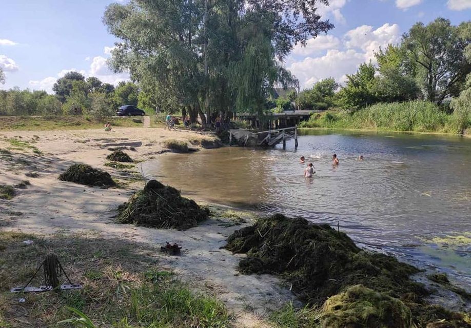 Собранные из Красной ряска и водоросли