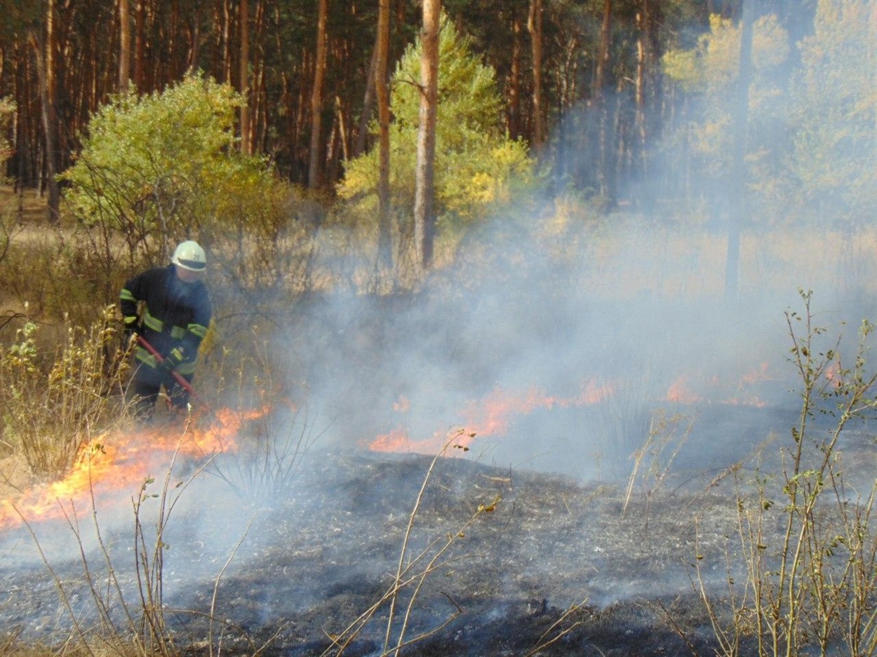 Пожары в лесных хозяйствах Луганской области