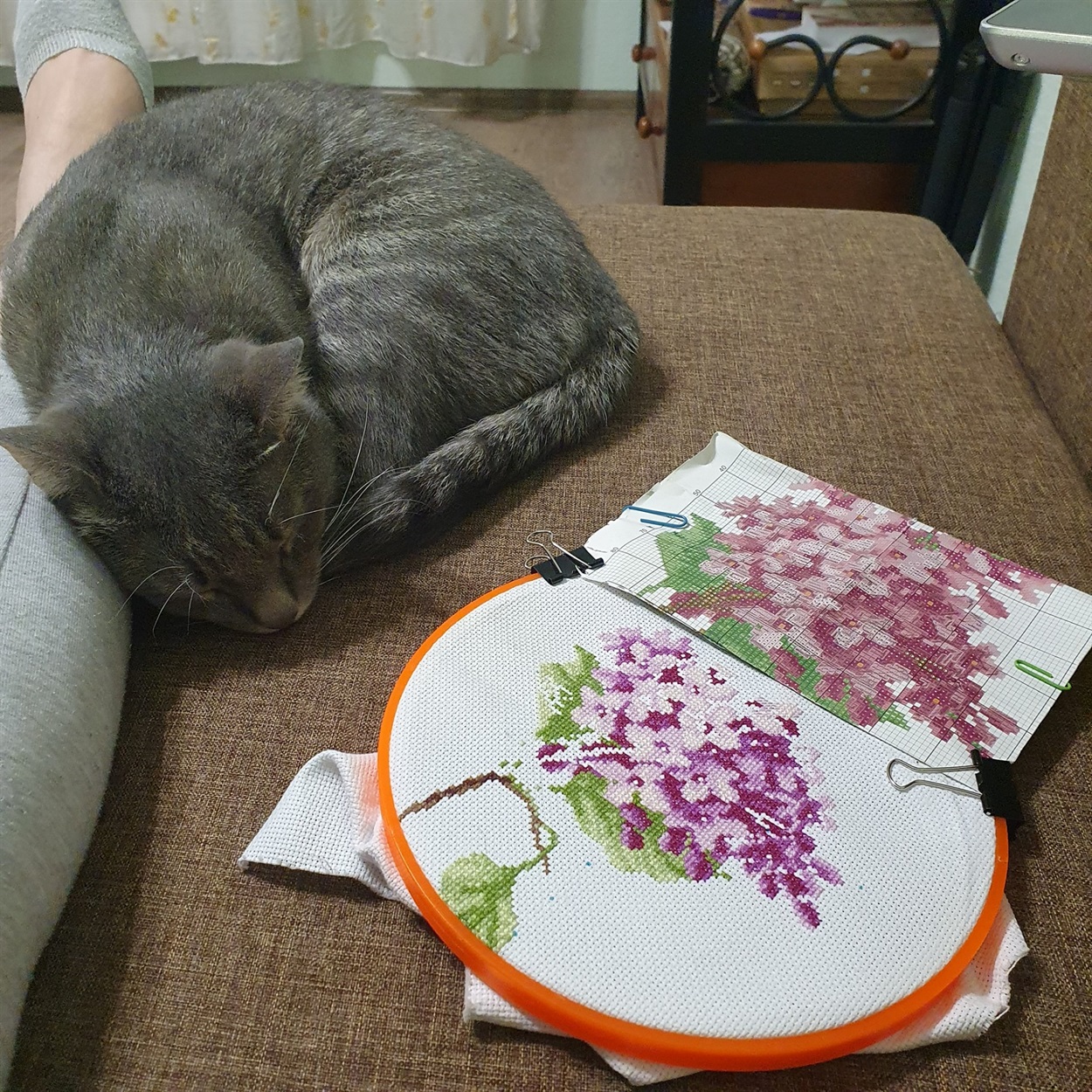Вышивка и котик