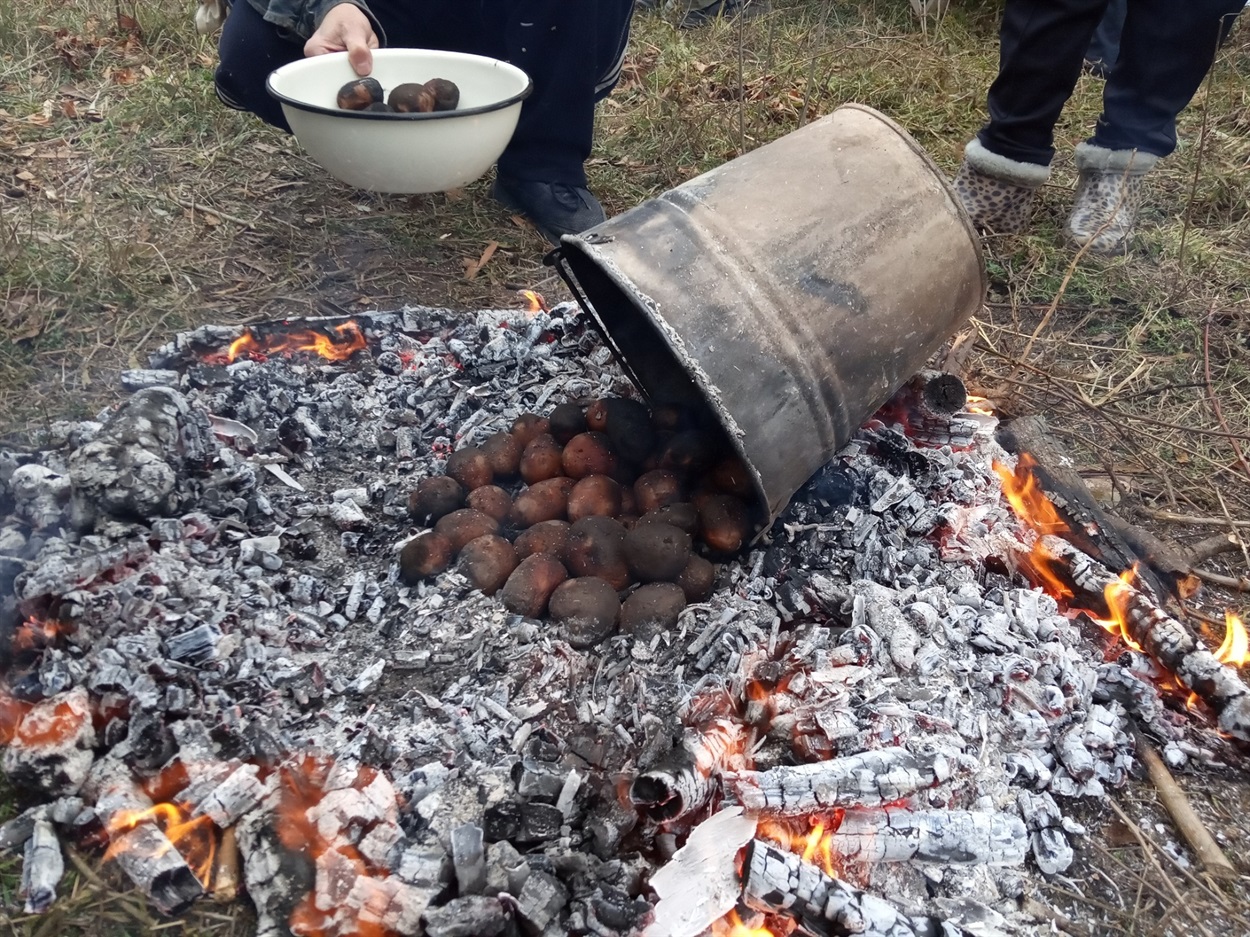 Після праці на свіжому повітрі запечена в багатті картопля смакує як найвитонченіша страва.