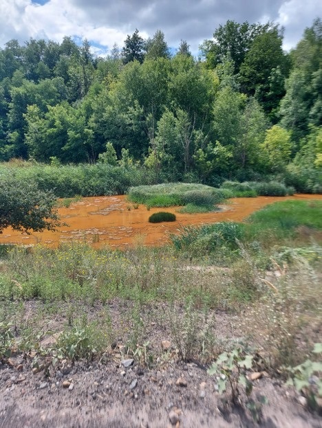 Жовта річка на сході України. Про проблеми екології говорили на заході “Зменшення ризику катастроф та вразливості населення в Східній Україні”