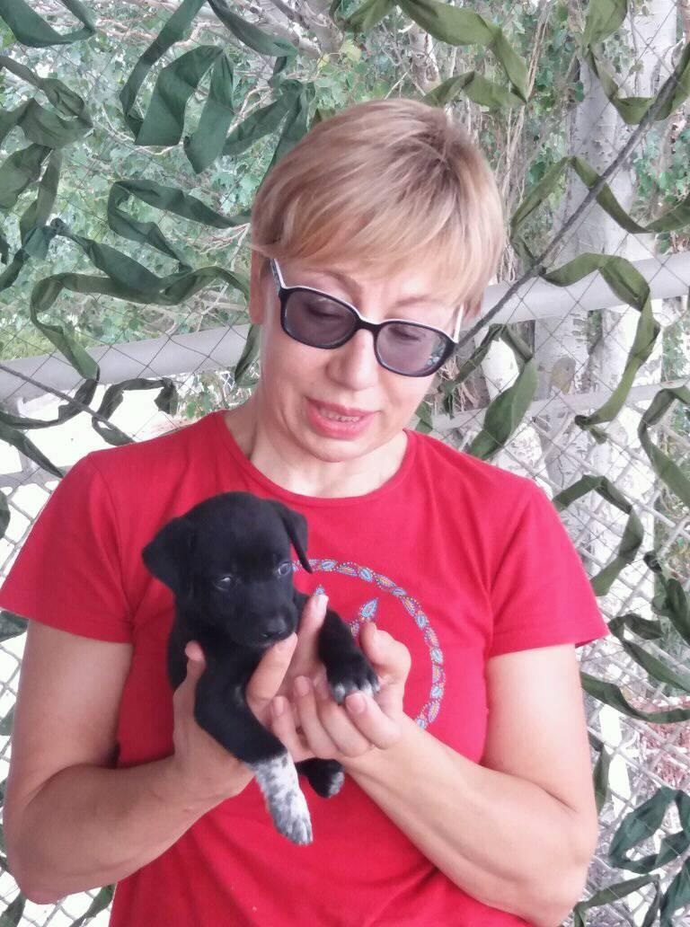 Жінка з собачкою