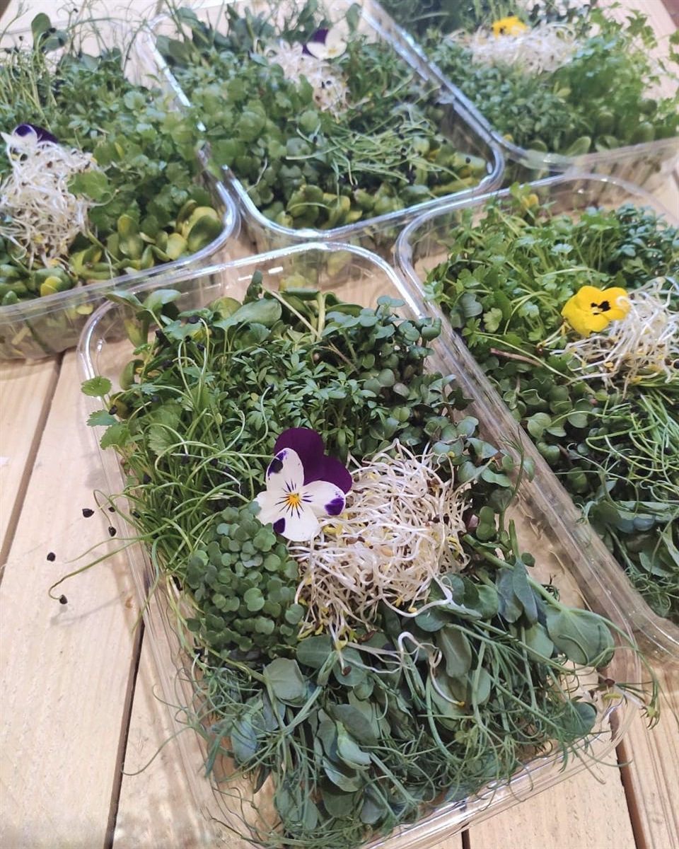 Микс микрозелени