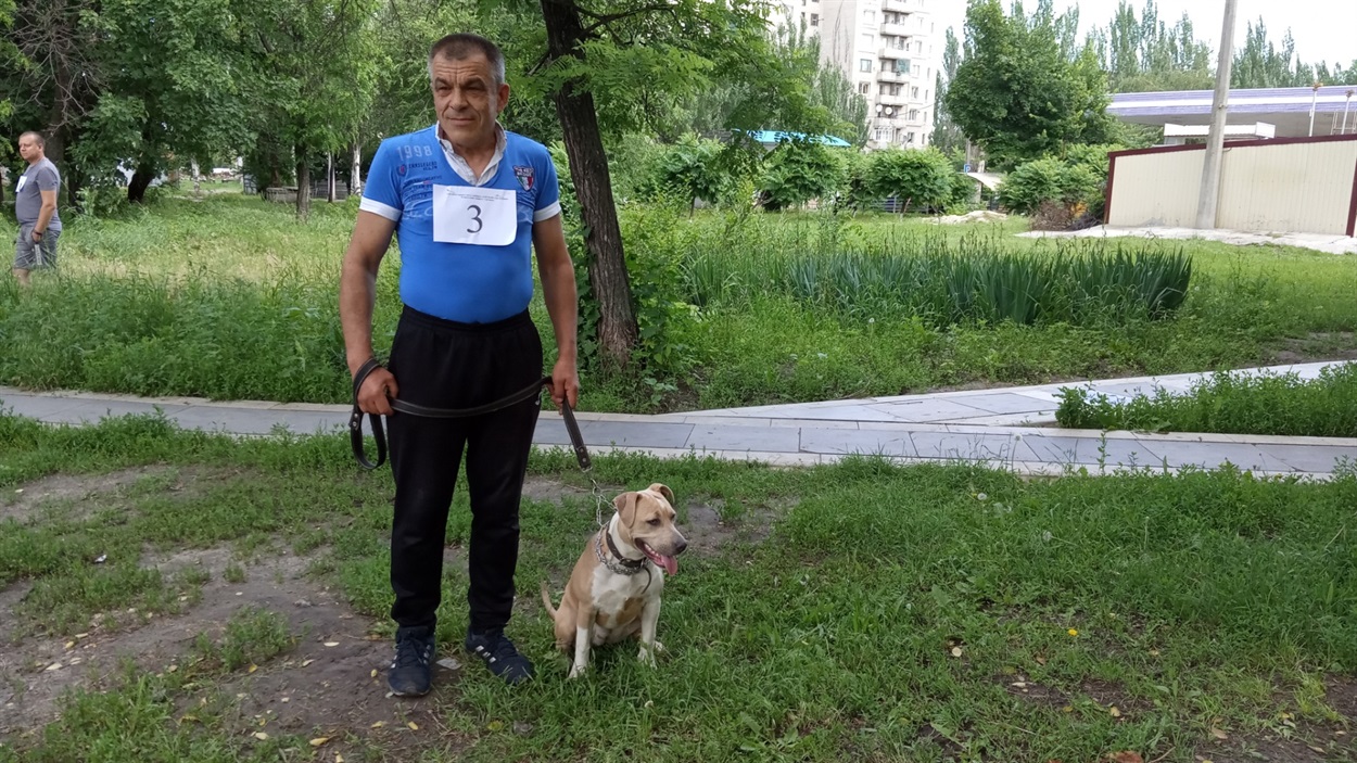 Сергей и Гера стараются подкармливать бродячих собак