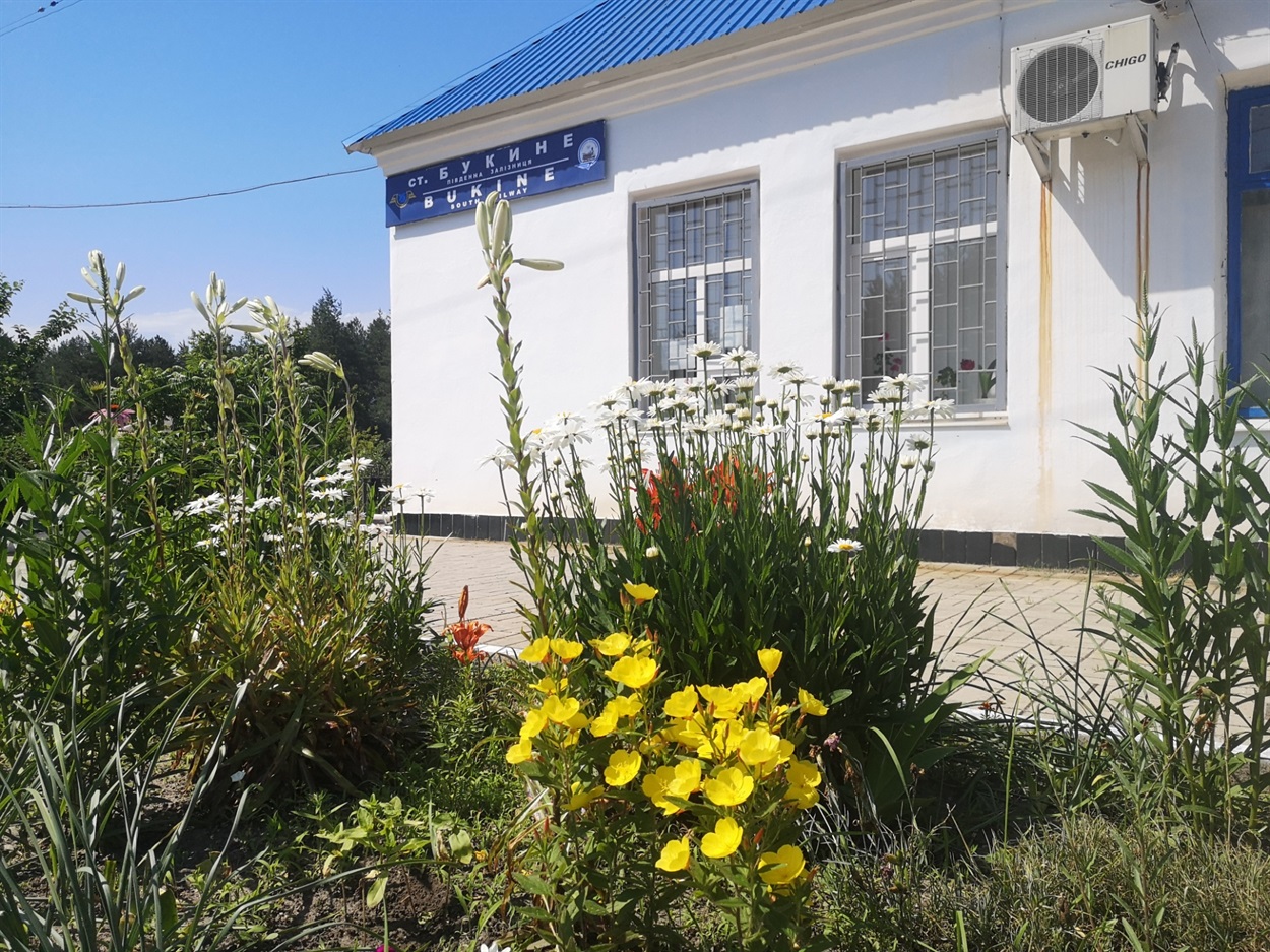 Станция Букино