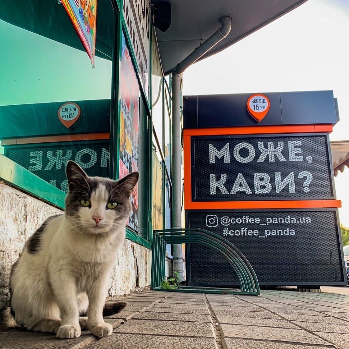 Кофе Панда, Северодонецк