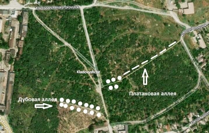 Активисты хотят расчистить и озеленить две основные аллеи.