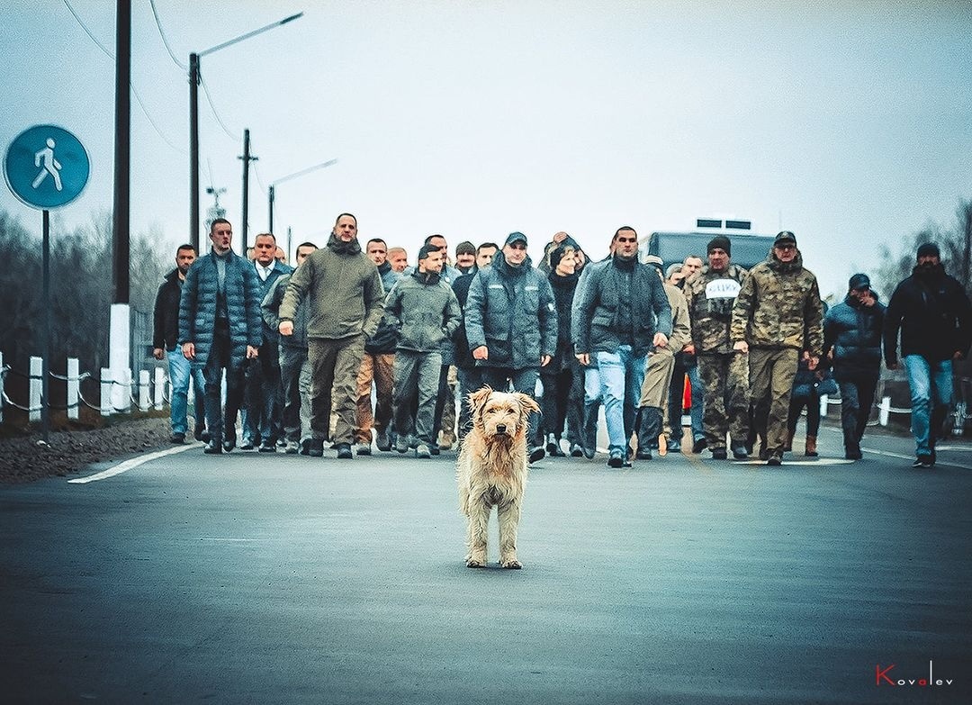 2019, Ковалев