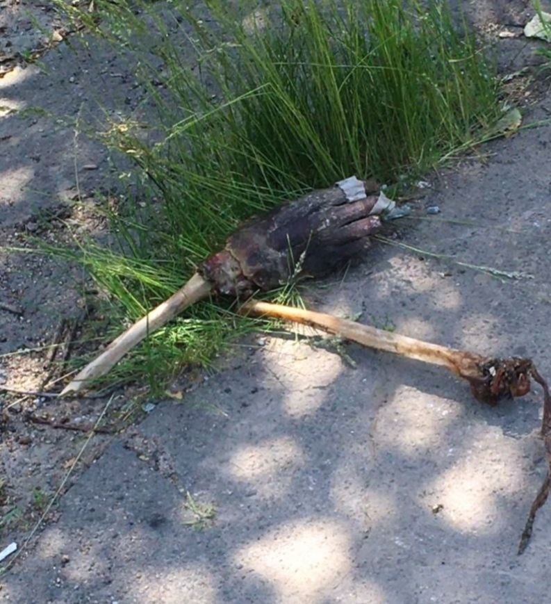 В Маріуполі всюди можна побачити кінцівки людей