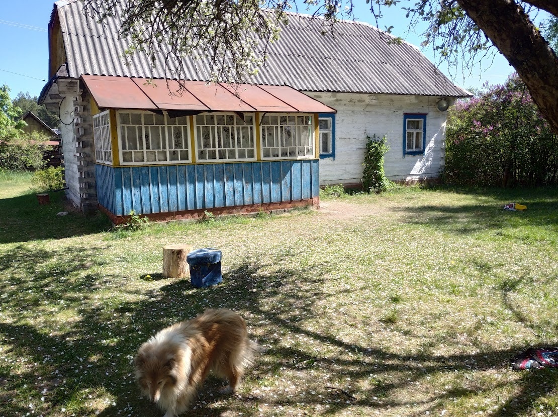 Село Лютка Волинської області