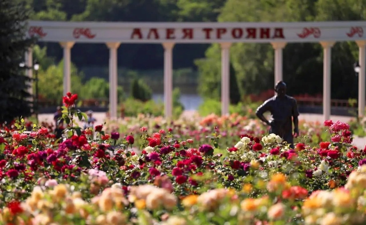 Алея троянд у Бахмуті