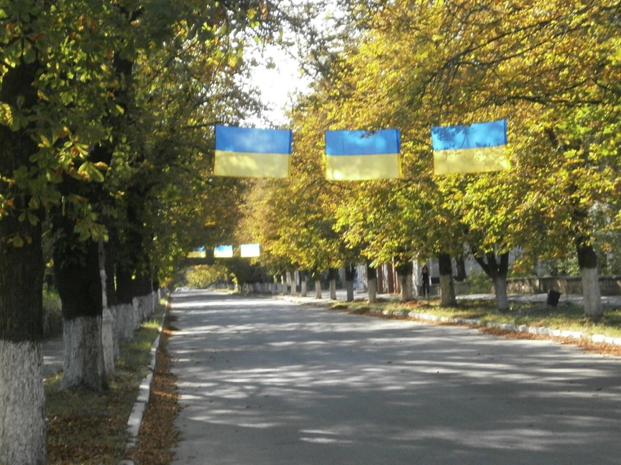 Центральна вулиця Довженка у Красногорівці