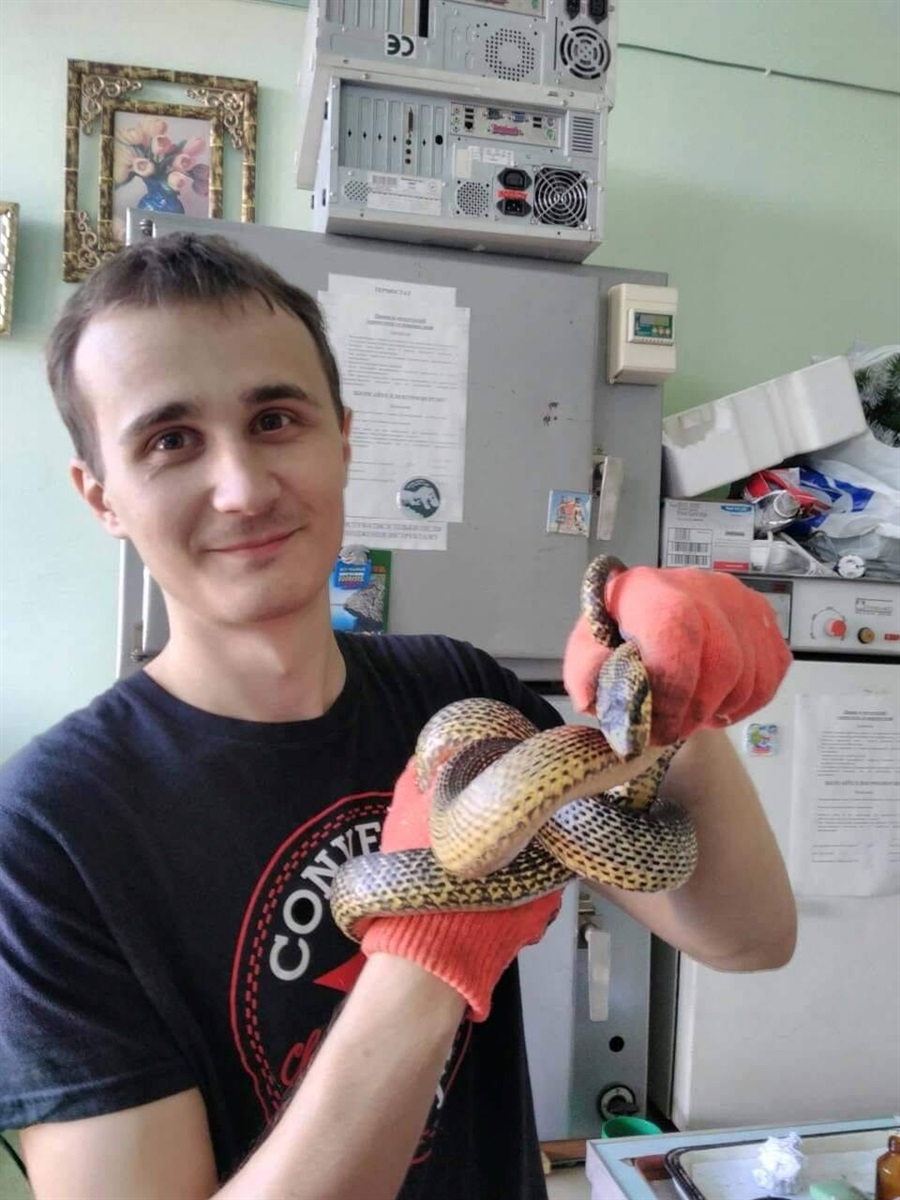 Сергій Єрмоленко