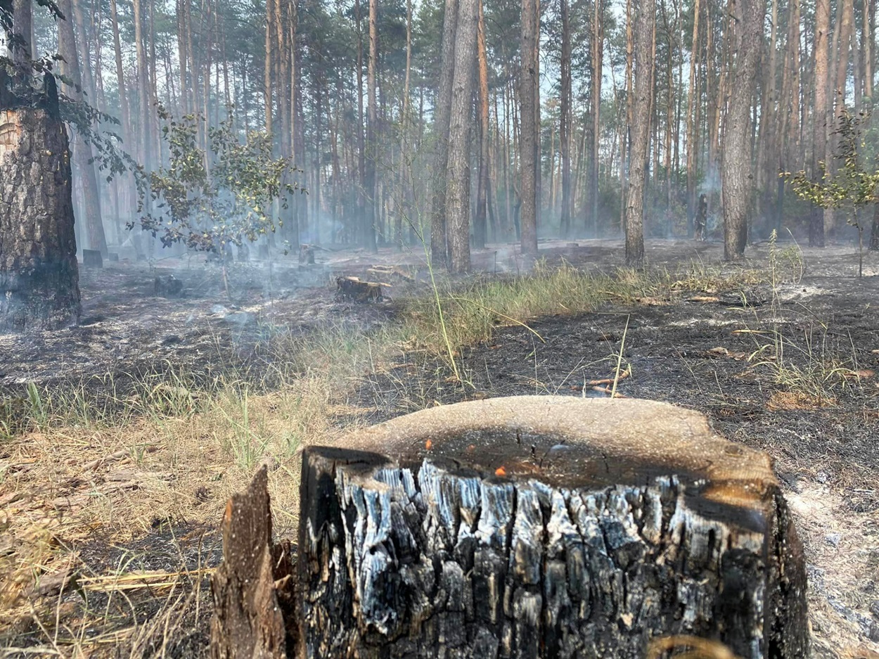 Найчастіше пожежі у лісах біля Лиману виникають через російські обстріли. Останнім часом під ворожий вогонь потрапляють і рятувальники