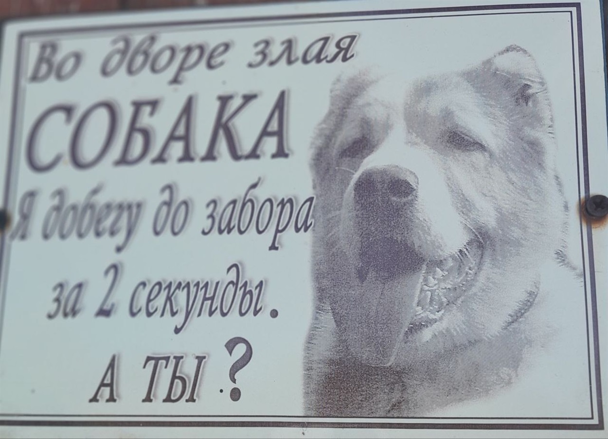 Фото Рема на в ході у двір. Це задумка Сергія