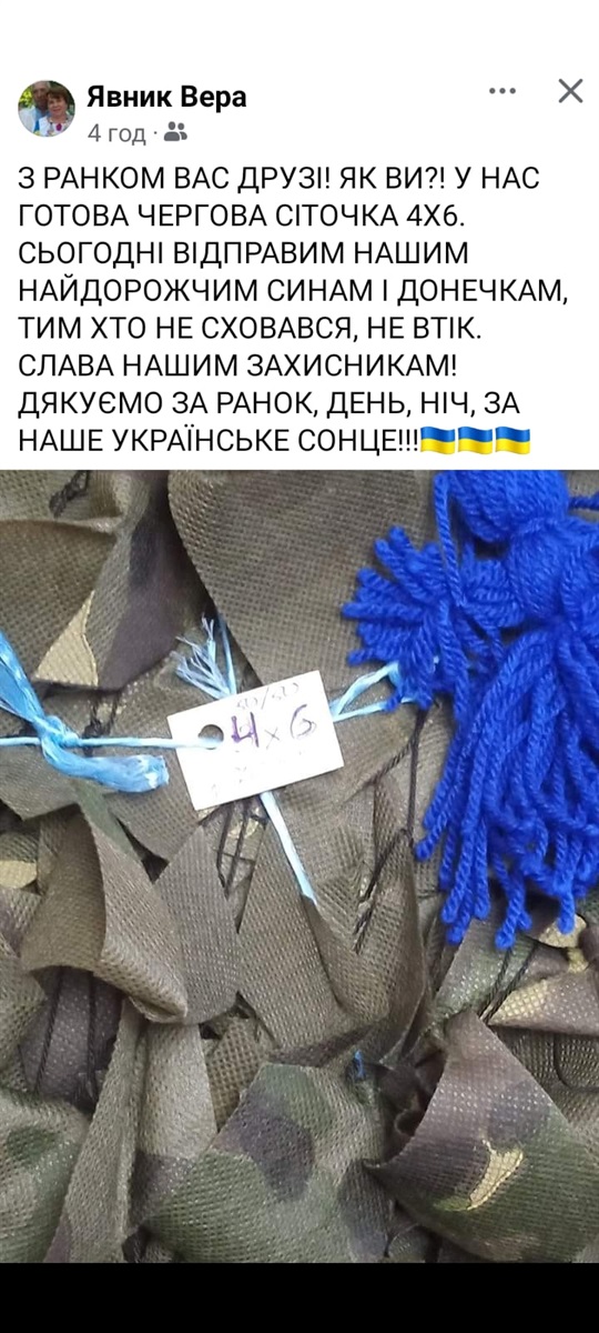Звіт Віри Явник у Facebook
