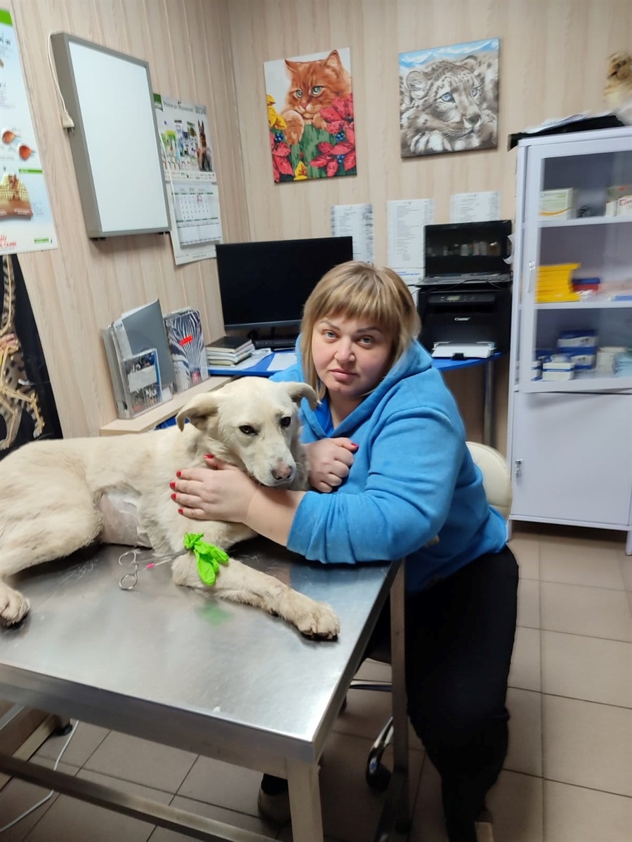 Світлана опікується тваринами багато років