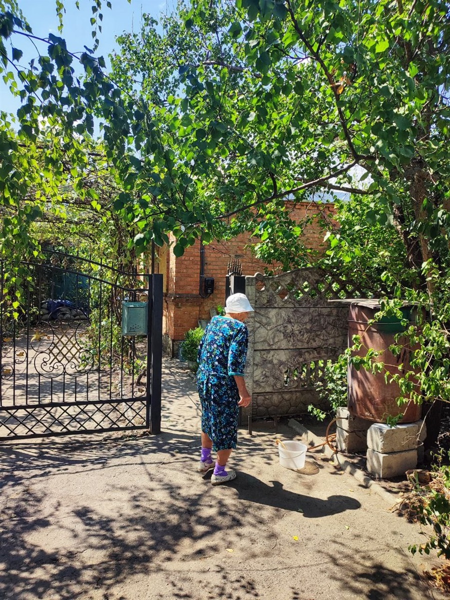 Двір Тамари Єфимової