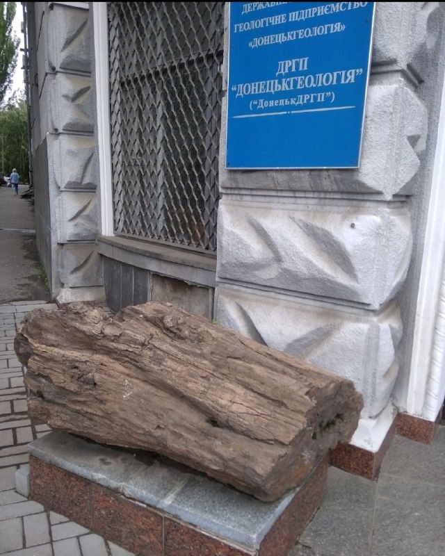 Скам'яніле дерево біля "Донецькгеології"