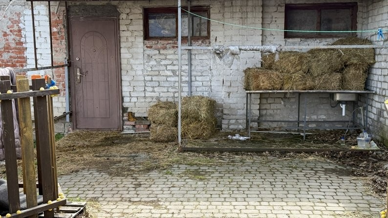 Шелтер для власників свійських тварин на Донеччині