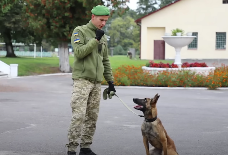 Денис і Джилі