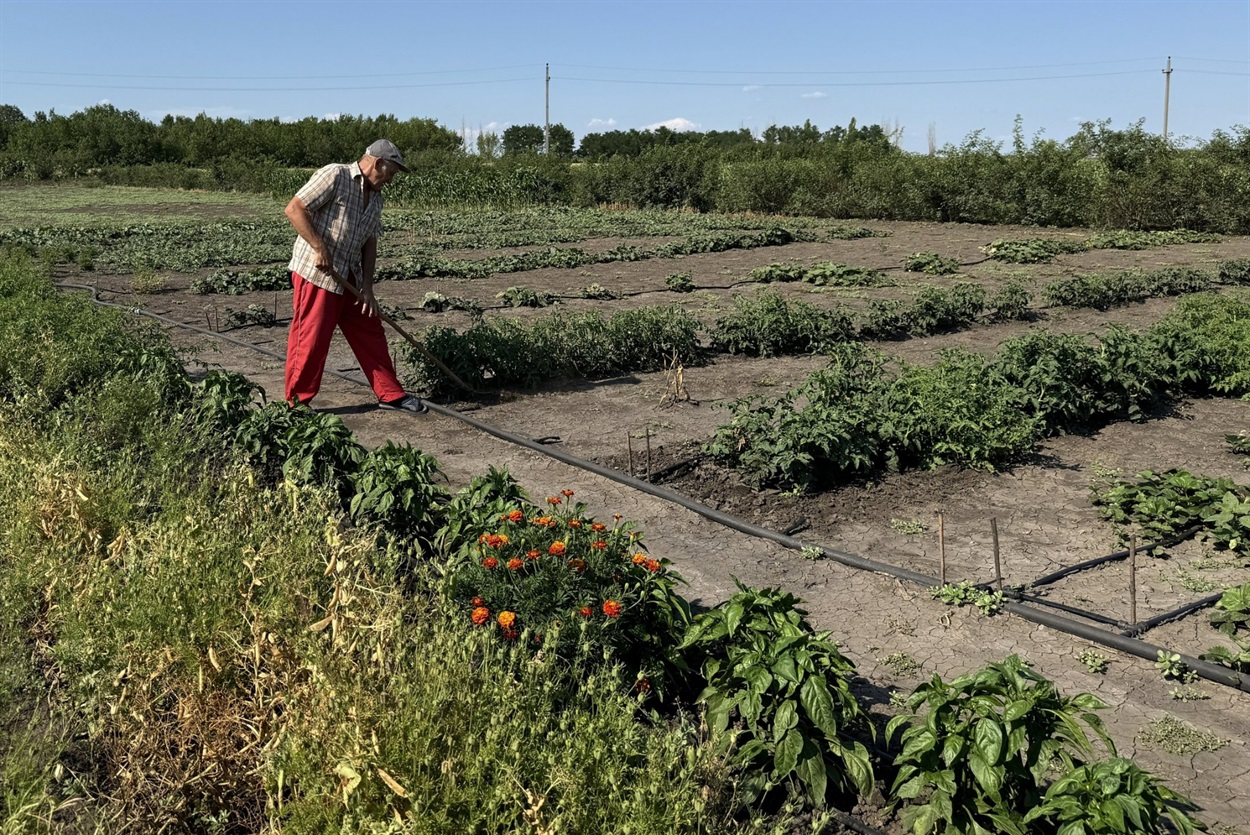 Анатолій порається на городі