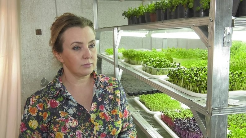 Олена Хатмулліна вирощувала мікрогрін