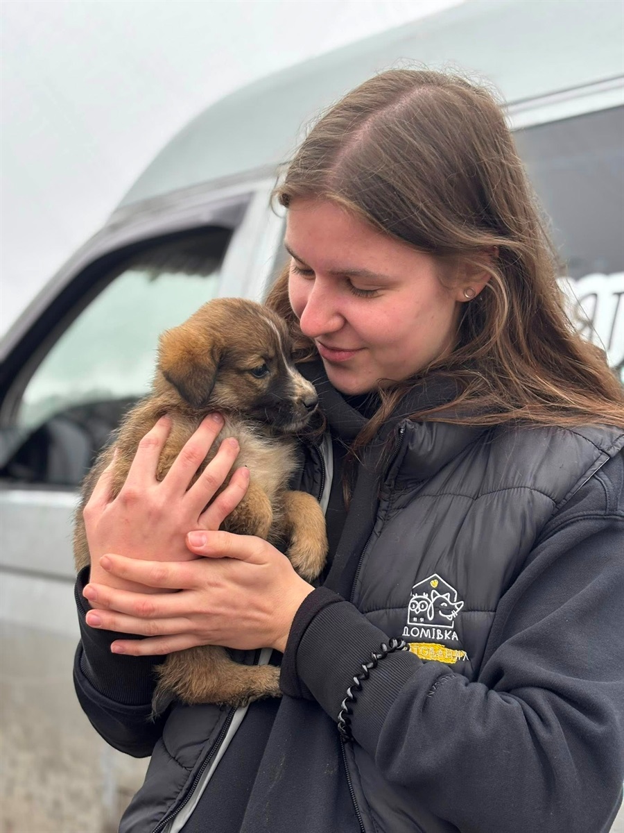 Врятоване цуценя