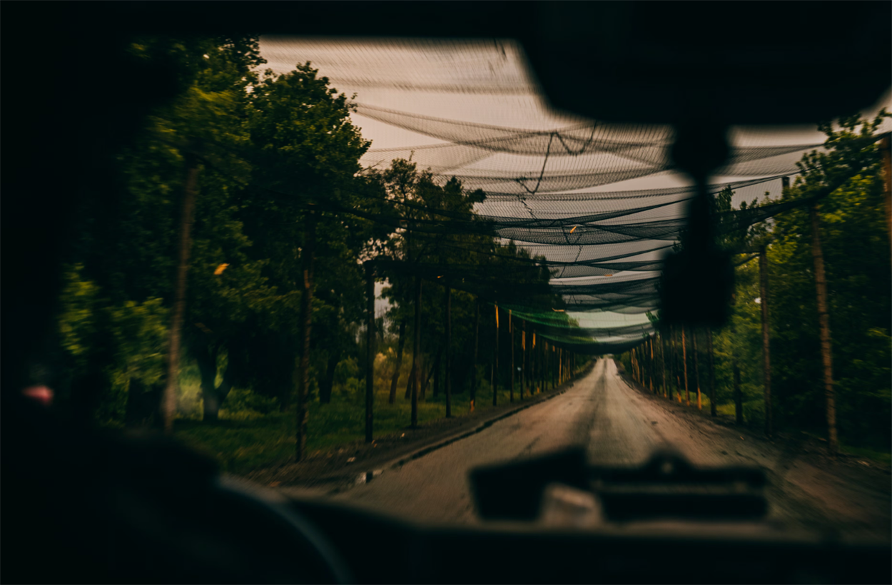 Антидронові сітки дорогою до Покровська, травень 2025