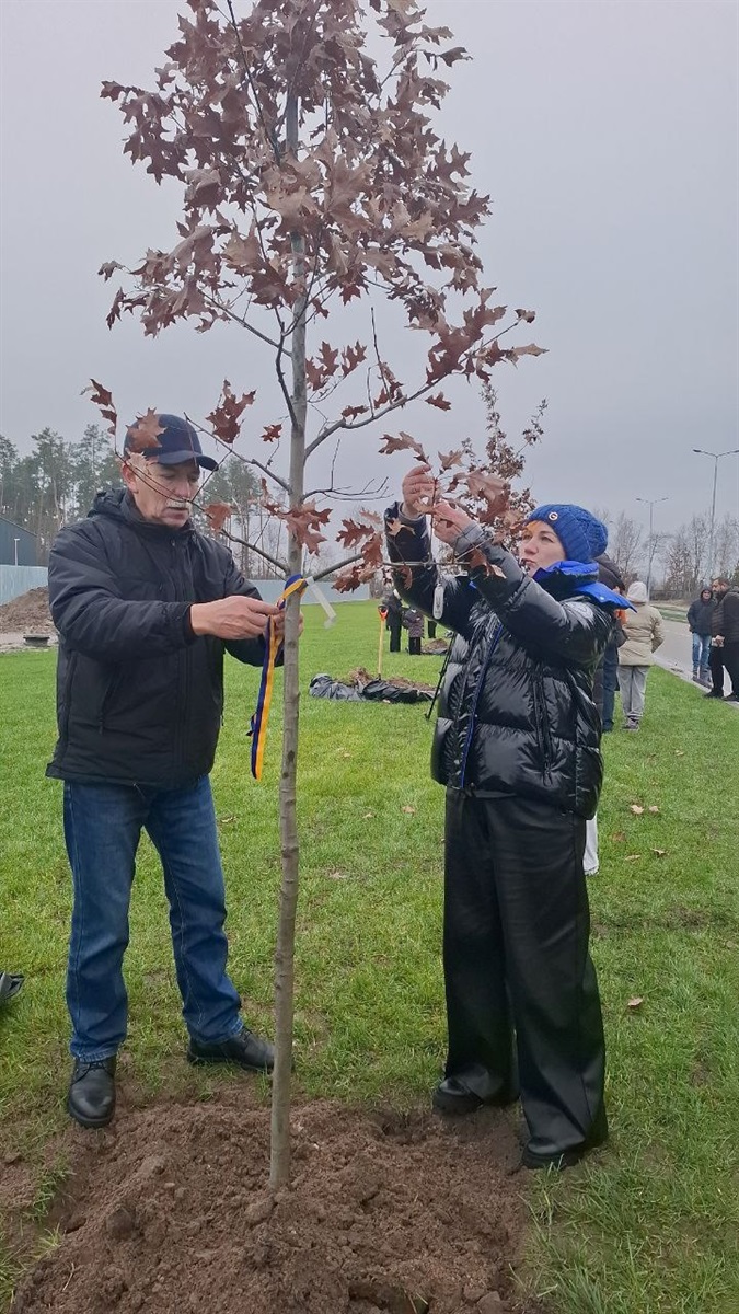Віра Литвиненко разом з чоловіком висаджують на Алеї дуб на честь свого полеглого у боях за Маріуполь сина Владислава "Вектора" Литвиненка