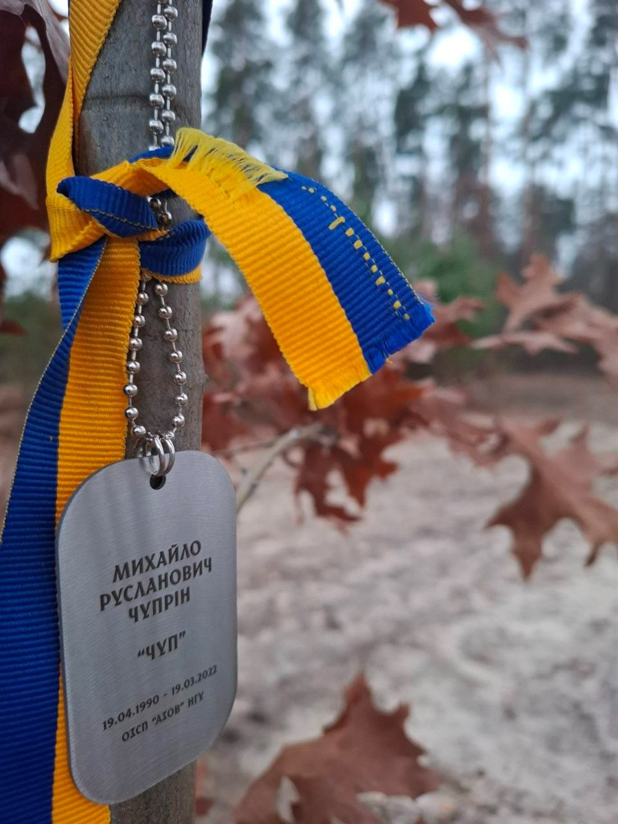 На кожному дереві закріплений жетон з іменем загиблого захисника