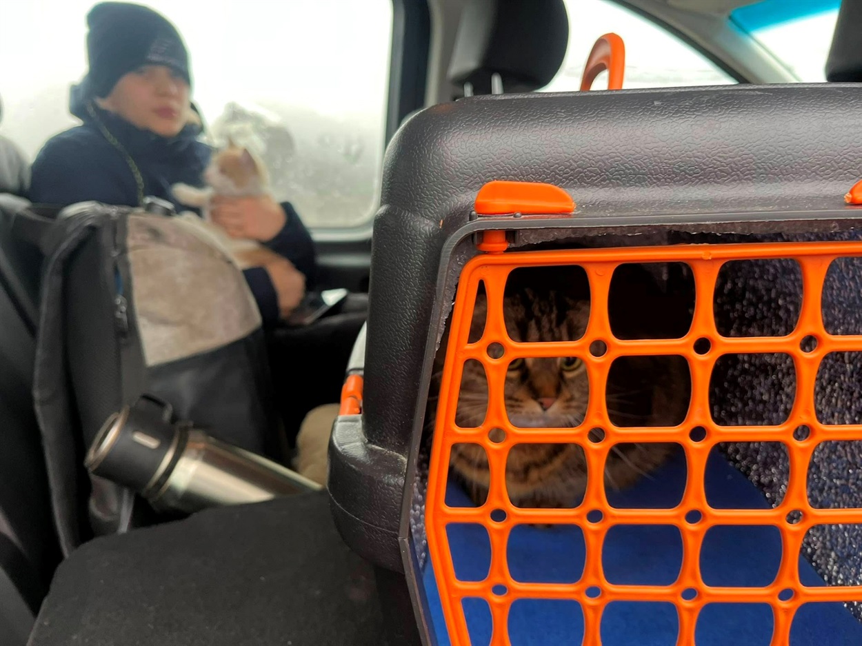 Евакуація з Дружківки