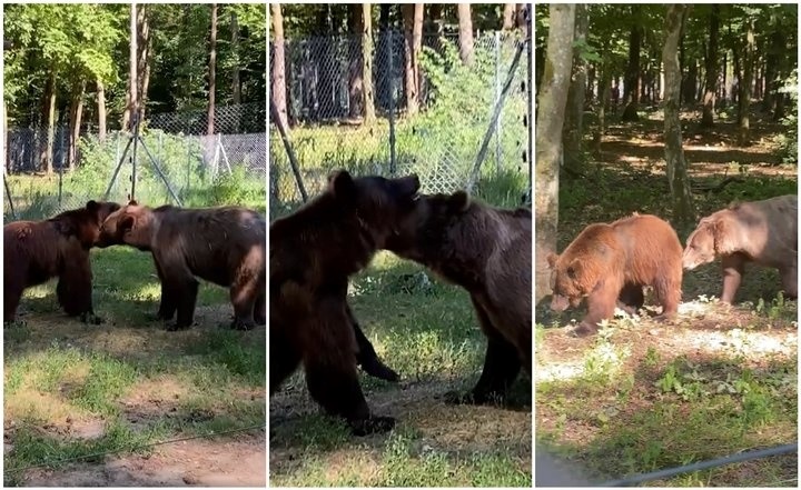 Перша зустріч Бахмута і Рути